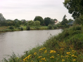In der Wesermarsch soll ein Landschaftsschutzgebiet nach Wunsch des Landkreises ausgewiesen werden